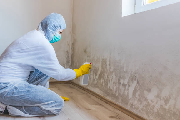 Licensed Mold Testing service in Sunnyvale, TX - WQB Mold Removal