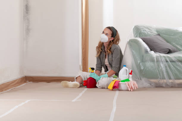 Reliable Mold Testing contractor in Sunnyvale, TX by WQB Mold Removal